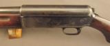 Winchester Model 1911 SL Shotgun - 7 of 12