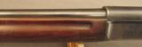Winchester Model 1911 SL Shotgun - 8 of 12