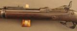 Springfield Trapdoor Rifle U.S Model 1884 - 9 of 12