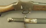 British Mk. IV Martini-Henry Rifle and Bayonet - 1 of 12
