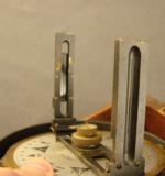 Mounted Peloris from Pembroke Mass - 5 of 12