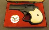 Hi-Standard Derringer Model D-100 .22LR O/U - 1 of 6
