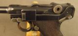 American Eagle Luger Pistol Model 1906 by DWM - 8 of 12