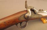 U.S. Model 1873 Carbine in the Custer Range - 4 of 12