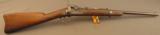 U.S. Model 1873 Carbine in the Custer Range - 1 of 12
