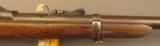 U.S. Model 1873 Carbine in the Custer Range - 6 of 12