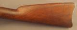U.S. Model 1873 Carbine in the Custer Range - 8 of 12