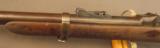 U.S. Model 1873 Carbine in the Custer Range - 11 of 12