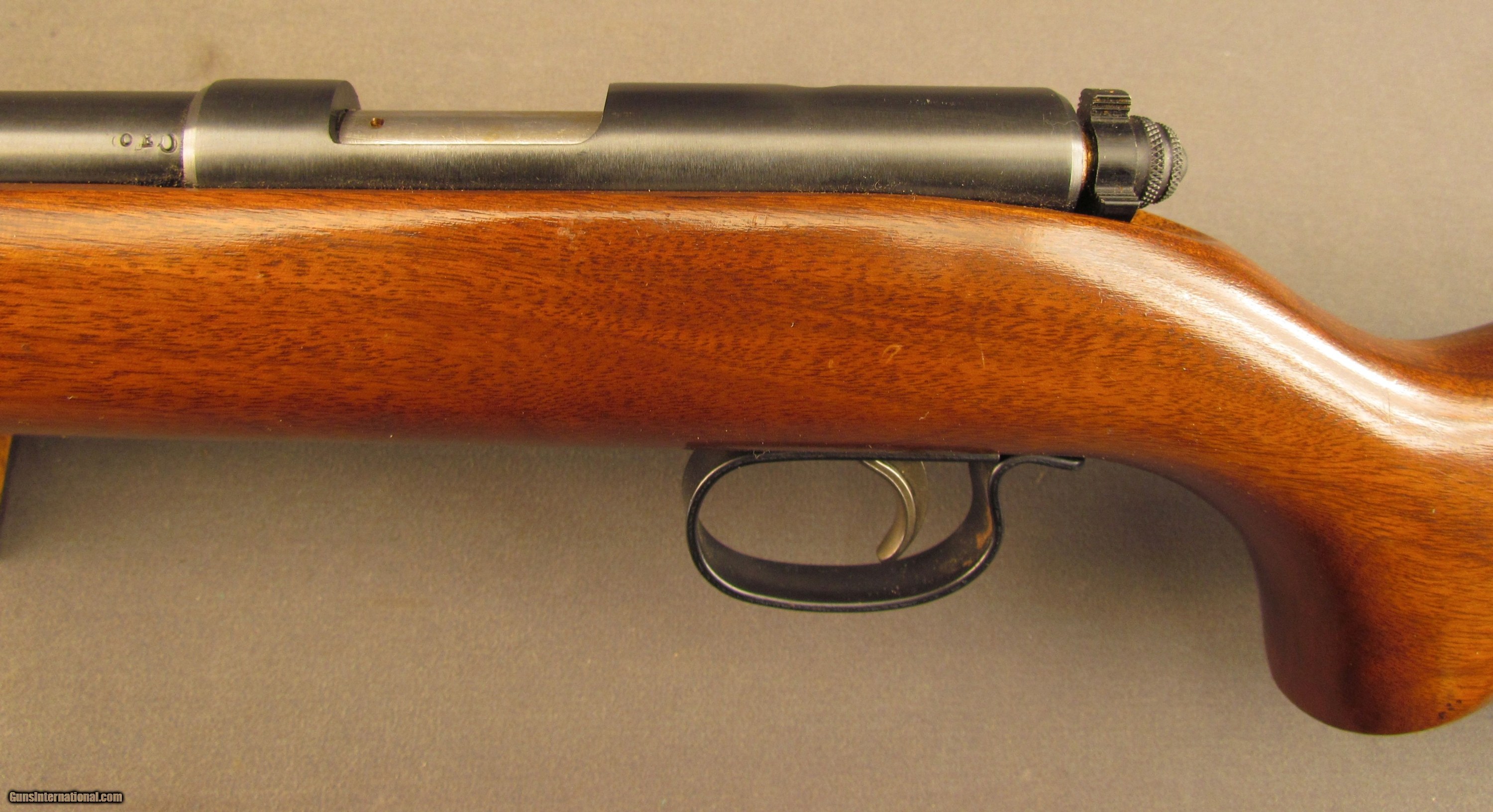 22 remington rifle - backuplasem