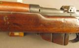 South African Long Lee Enfield Rifle 303 British - 11 of 12