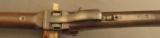 Rare Sharps New Model 1859 Carbine with Brass Furniture - 20 of 22