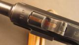 German P.08 Luger Pistol by Mauser - 12 of 12