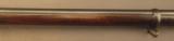 Sharps – Borchardt Model 1878 Military Target Rifle (British Marked - 8 of 25
