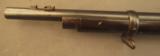Sharps – Borchardt Model 1878 Military Target Rifle (British Marked - 15 of 25