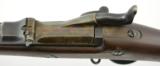 U.S. Model 1884 Trapdoor Rifle by Springfield Armory - 24 of 24
