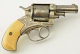 Webley No. 2 Engraved & Retailer Marked Bull Dog - 1 of 18