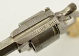 Webley No. 2 Engraved & Retailer Marked Bull Dog - 13 of 18
