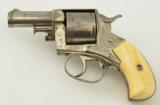 Webley No. 2 Engraved & Retailer Marked Bull Dog - 6 of 18
