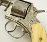 Webley No. 2 Engraved & Retailer Marked Bull Dog - 11 of 18