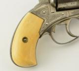 Webley No. 2 Engraved & Retailer Marked Bull Dog - 2 of 18