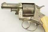 Webley No. 2 Engraved & Retailer Marked Bull Dog - 8 of 18