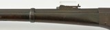 Remington Military Rolling Block Rifle - 10 of 15
