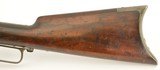 Winchester Model 1876 .50-95 Express Rifle - 8 of 15
