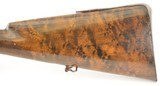 English Sporting Rifle Percussion Brunswick rifled by Harvey & Son - 11 of 15