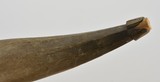 Large Carved Powder Horn Newfoundland Salmon Scrimshaw - 6 of 10