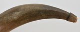 Large Carved Powder Horn Newfoundland Salmon Scrimshaw - 5 of 10