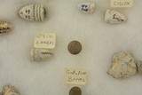 Civil War Battle Filed Dug Bullet & Button Collection 22 Pieces - 7 of 10