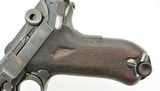 DWM Model 1900 American Eagle Luger Pistol - 5 of 13