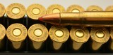 Lever Revolution 30-30 Winchester Ammo 160 Gr. FTX 40 Rds. - 3 of 3