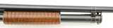 Excellent Winchester Model 12 Shotgun in 20 Gauge Pre-war 1938 - 8 of 15