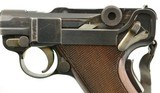 Swiss Model 1906/24 Luger Pistol by Waffenfabrik Bern - 7 of 15