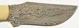Montana Territory Knife Damascus 4" Skinning Blade Buffalo - 6 of 9