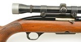 Winchester Model 100 Rifle 243 Win Semi-Auto 1965 C&R - 5 of 15