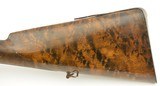 English Dangerous Game Percussion Sporting Rifle Brunswick rifled - 12 of 15
