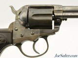 American Express Marked Colt Model 1877 Lightning Revolver with Factory Letter - 3 of 15