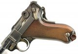 Swiss Model 1906/24 Luger Pistol by Waffenfabrik Bern - 14 of 15