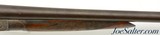 Wm Parkhurst Hammer SXS 12 Gauge Liege Belgian Shotgun Dumoulin - 6 of 15