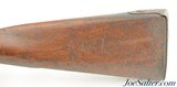 Percussion Conversion US Model 1816 Musket by Springfield Armory - 11 of 15