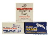 Winchester Wildcat 22LR Ammo Collection Dynapoint Copperplated High Velocity