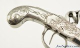 Beautiful Pair of All-Metal 18th Century Flintlock Pistols by G. Devillers of Liege - 12 of 15