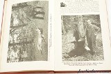Hunting - Fishing and Camping By L.L.Bean 1942 - 6 of 8