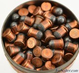 Stoeger Arms RWS 22 BB Caps Partial Tin 99 Rounds - 3 of 3