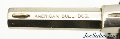 Iver Johnson American Bull Dog 2nd Model - Image 9 of 11