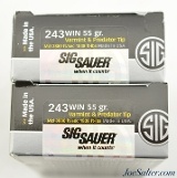 Sig Sauer Elite Proformance 243 Win. 55Gr Predator Tip Ammo 2 boxes - 2 of 2