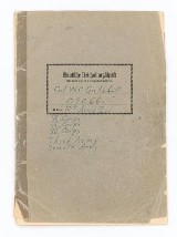 Grouping Belonging to Col. Wade C. Gatchell, US 10th Armored Division in WW2 - Image 2 of 15