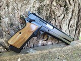 BHAdvanced Masterpiece FM Argentina 9mm Hi-Power - 17 of 17
